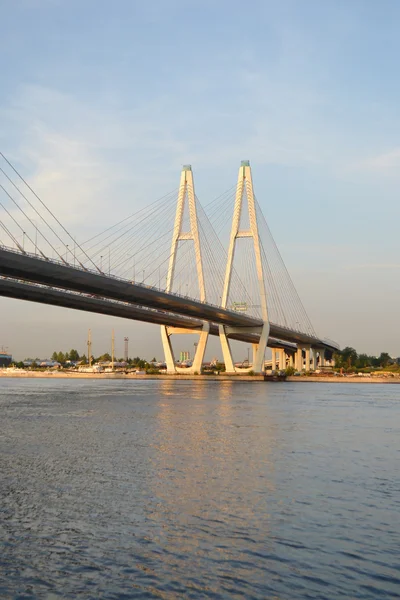 Cable stayed bridge at evening. — Stock Photo, Image