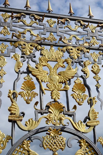 Fragmento do portão do palácio de Catarina em Tsarskoye Selo . — Fotografia de Stock