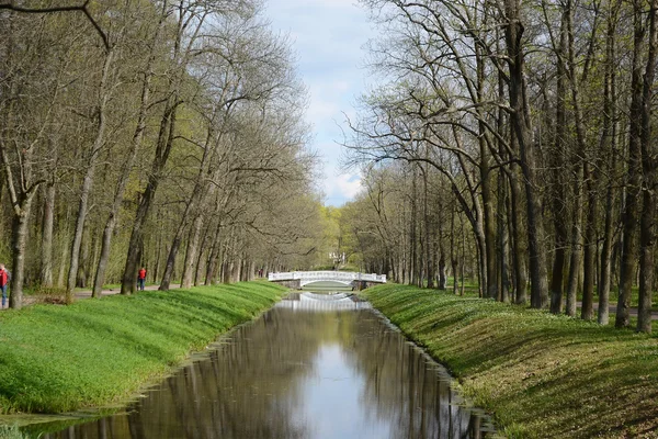 Canal en Tsarskoe Selo . — Foto de Stock