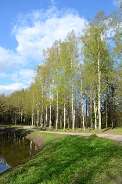 Parque em Pavlovsk . — Fotografia de Stock