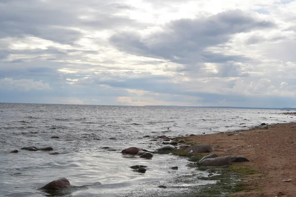 Baltic sea shore. — Stock Photo, Image