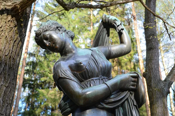 파블로프 공원에서 여자의 동상. — 스톡 사진