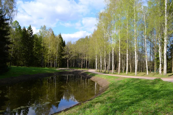 Park i pavlovsk. — Stockfoto