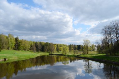 Park'da pavlovsk.
