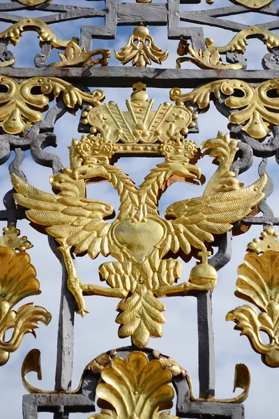 Fragmento da cerca do palácio de Catarina em Tsarskoye Selo . — Fotografia de Stock