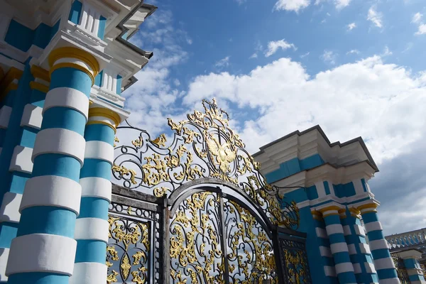 Puerta del Palacio de Catalina en Tsarskoe Selo . — Foto de Stock