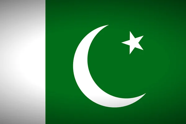 Flag of Pakistan — Stock Vector