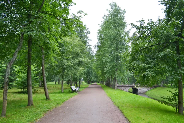 Park w Oranienbaum. — Zdjęcie stockowe
