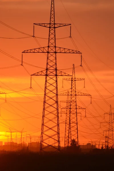 Linhas de transmissão de energia elétrica ao pôr do sol. — Fotografia de Stock