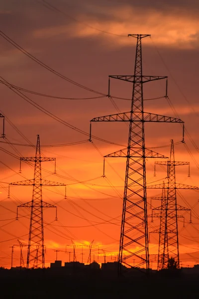 Líneas de transmisión de energía eléctrica al atardecer. —  Fotos de Stock