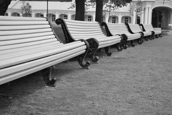 Bancos vazios no parque . — Fotografia de Stock