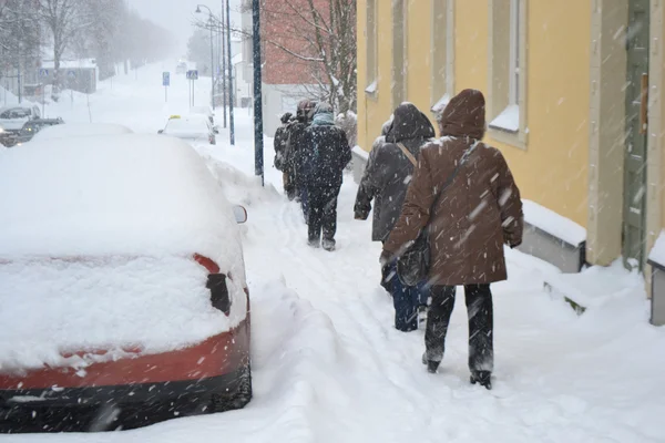 Kotka em neve pesada . — Fotografia de Stock