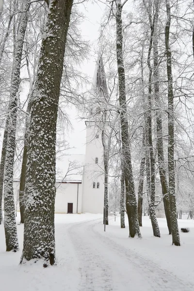 Zimowy krajobraz w Sigulda. — Zdjęcie stockowe