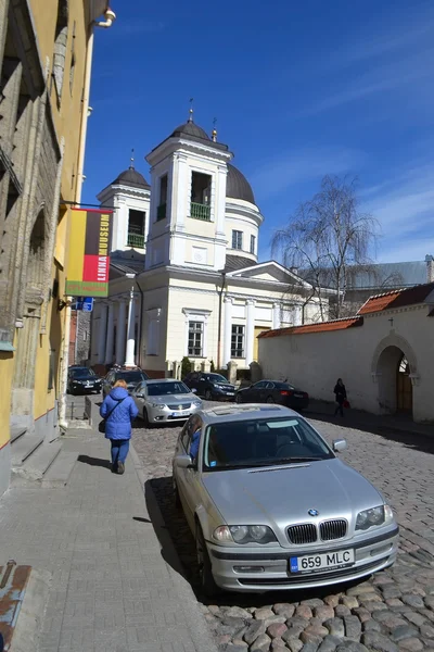 Tallinn Merkezi sokakta. — Stok fotoğraf