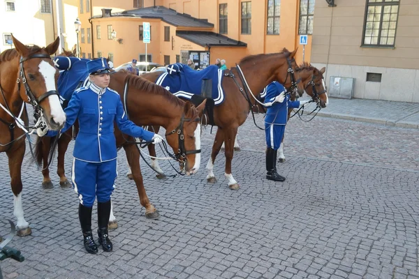 Švédsko královská Garda. — Stock fotografie