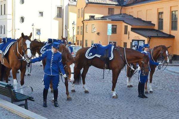 Szwecja Gwardii królewskiej. — Zdjęcie stockowe