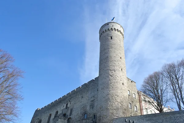 Hermann csúcsán torony Tallinnban. — Stock Fotó