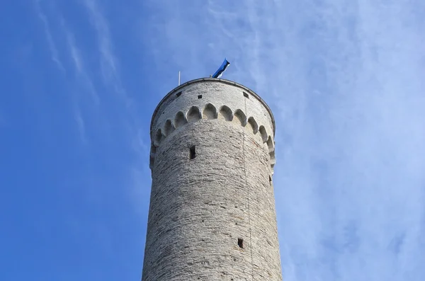 Pikk hermann věž v Tallinnu. — Stock fotografie