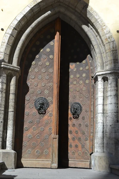 Puerta vieja . — Foto de Stock