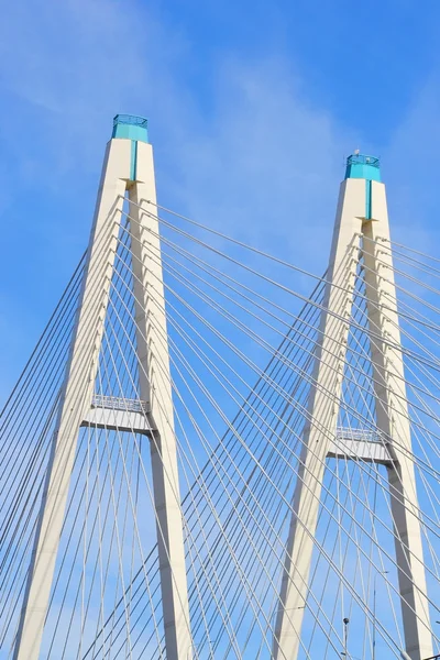 Ponte cablato a San Pietroburgo . — Foto Stock