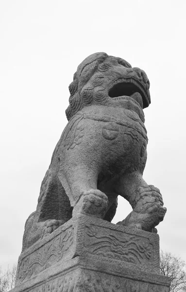 Lion de granit sur le remblai à Saint-Pétersbourg . — Photo