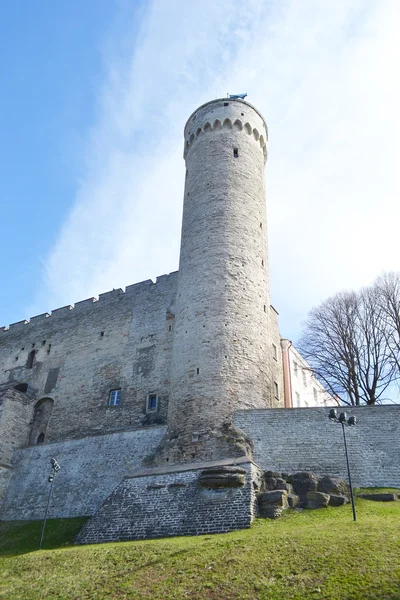 Turnul Pikk Hermann din Tallinn . — Fotografie, imagine de stoc