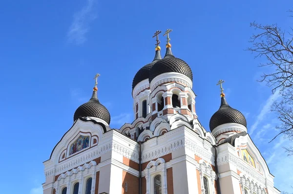 Alexander Nevsky Cathedral, Tallinn. — Stock Photo, Image