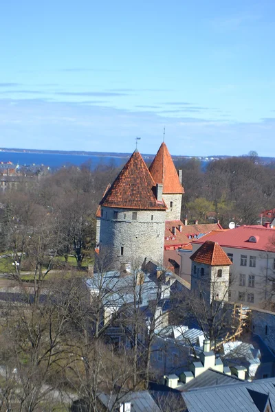 Città Vecchia a Tallinn. — Foto Stock