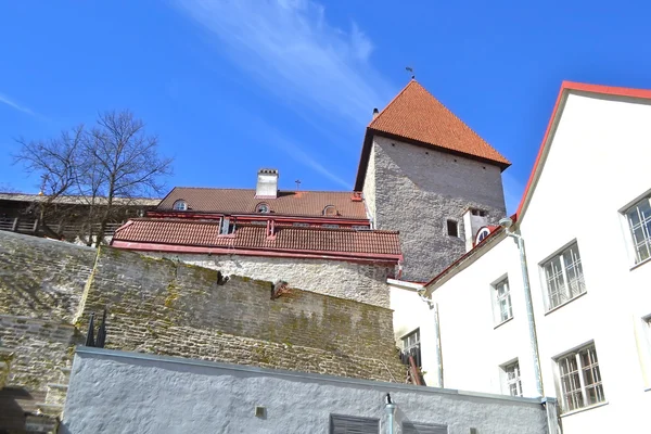 Fortress wall in Tallinn. — Stock Photo, Image