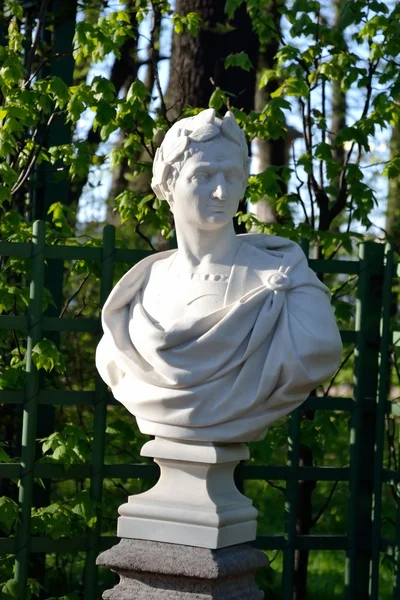 Staty av Gaius Iulius Caesar. — Stockfoto