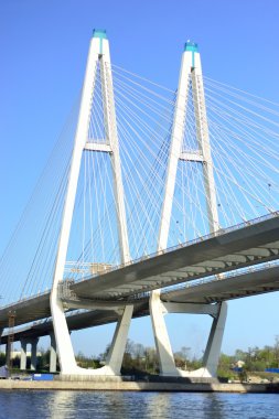 Büyük Obukhovsky Bridge uygulamasında St.Petersburg.