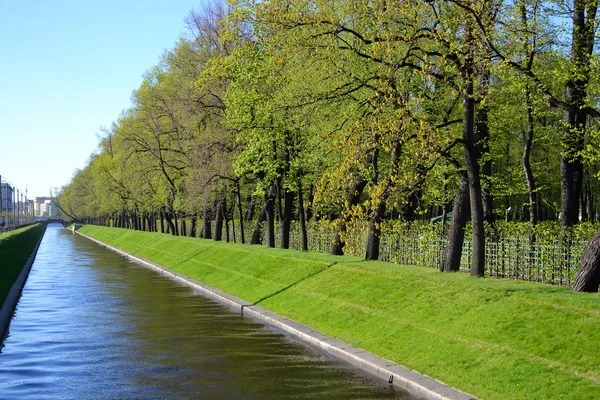 Parque Jardín de verano . — Foto de Stock