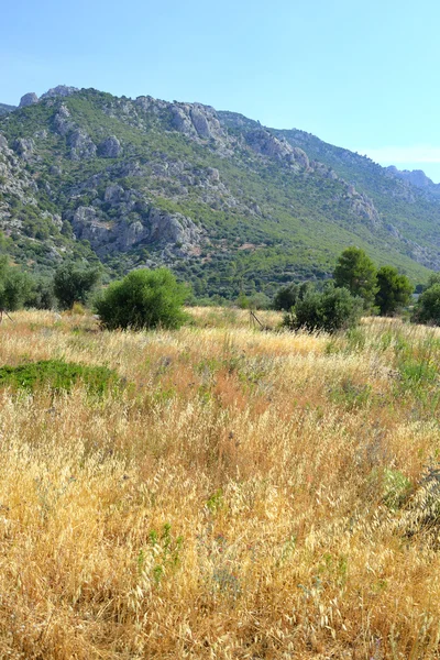 Krajobraz lato w Grecji. — Zdjęcie stockowe