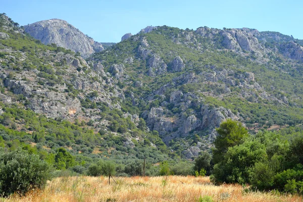 Summer landscape in Greece. — Stock Photo, Image