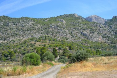 Yaz manzara Yunanistan.