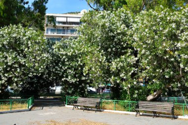 Yaz peyzaj, Yunanistan.