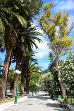 Yaz peyzaj, Yunanistan.