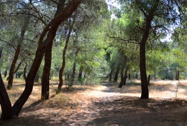 Yaz peyzaj, Yunanistan.