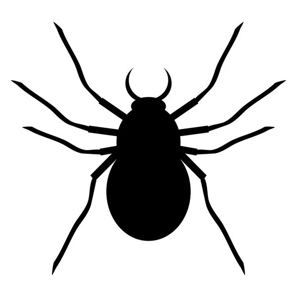 Araignée sur blanc . — Image vectorielle