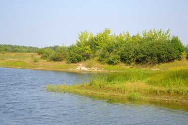 Nehir kıyısında güneşli bir gün.