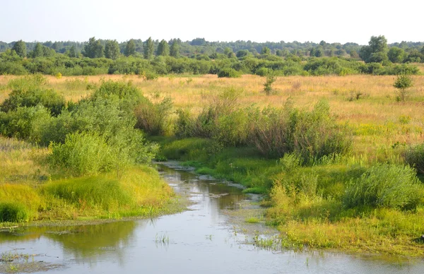 Fiume nella giornata di sole . — Foto Stock