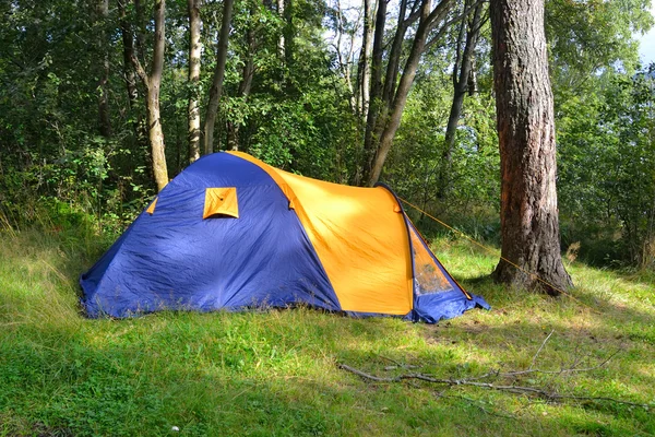 Camping tent. — Stock Photo, Image