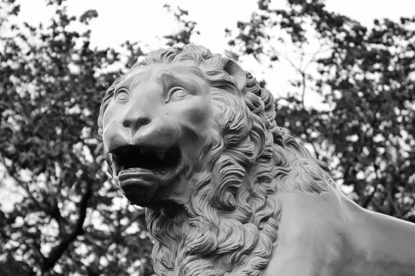 Bronze lion. — Stock Photo, Image