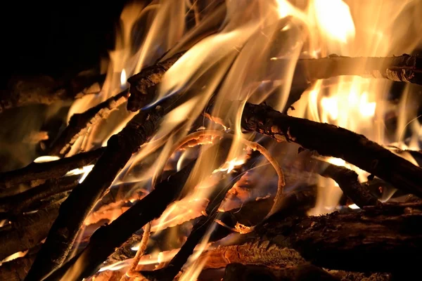 Lagerfeuer. — Stockfoto