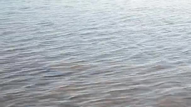 Vågor på vattnet i sjön. — Stockvideo