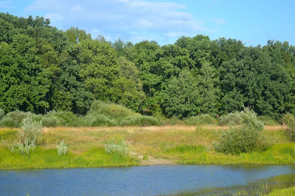 stock image River at sunny day.