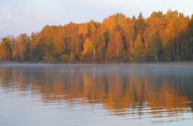 Autumn forest on the lake at sunrise. clipart