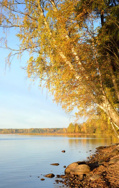 Podzimní Les na jezeře při východu slunce. — Stock fotografie