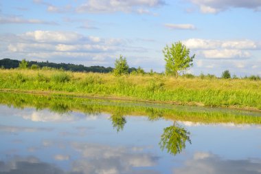 Nehir kıyısında güneşli bir gün.