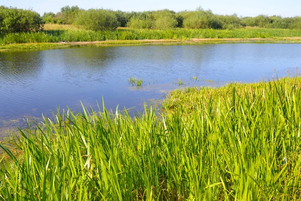 Fluss bei sonnigem Tag. — Stockfoto